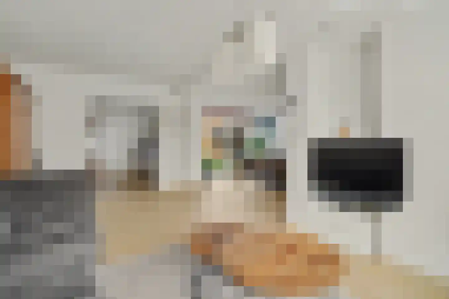 Nicolaas Busiusstraat 2 Hilvarenbeek thumbnail 7