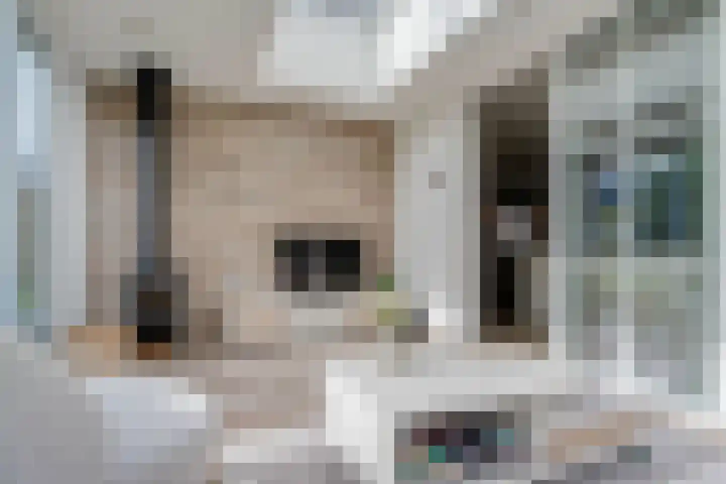 Nicolaas Emmenstraat 1 Wildervank thumbnail 30