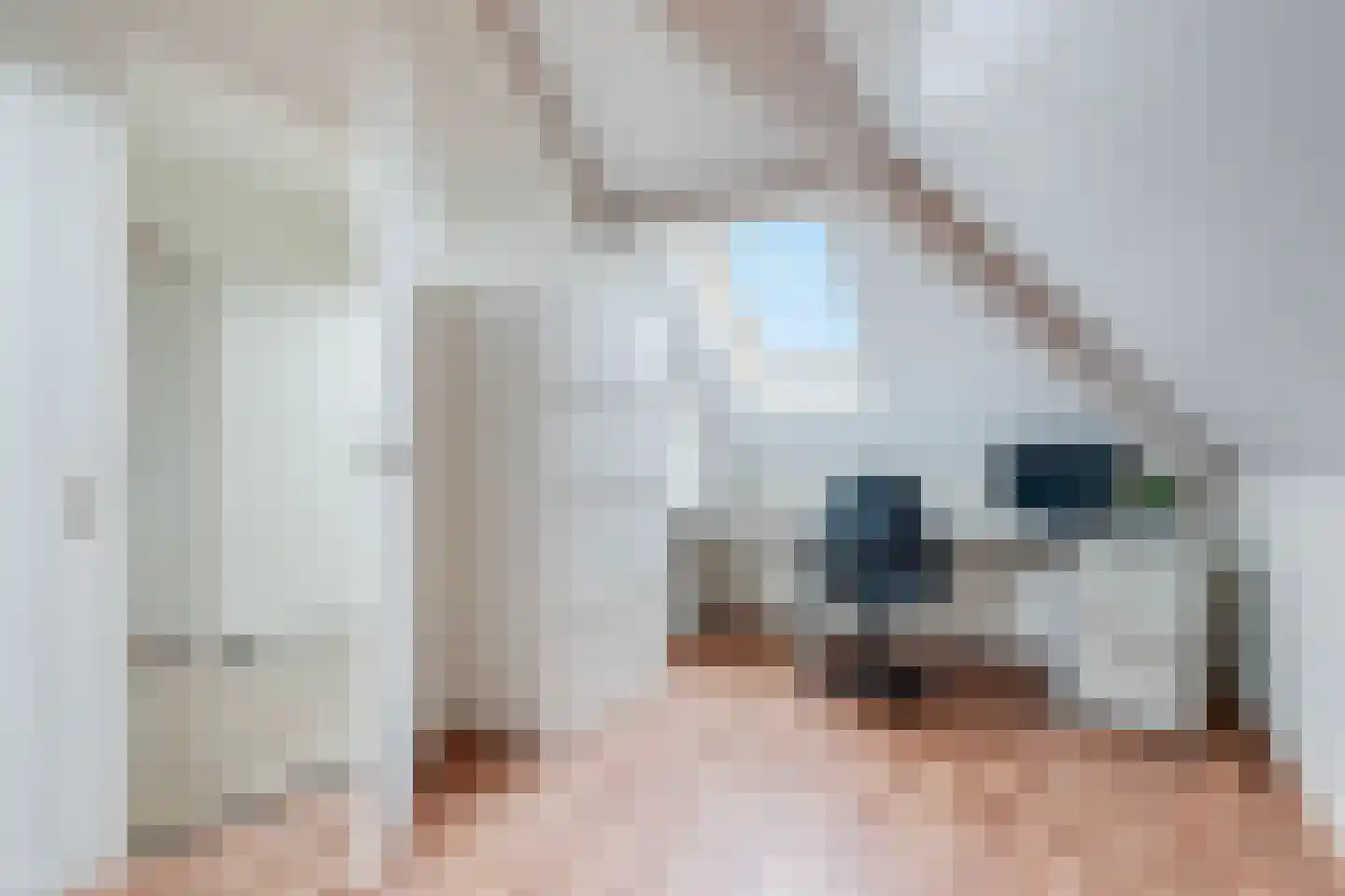 Nicolaas Emmenstraat 1 Wildervank thumbnail 46