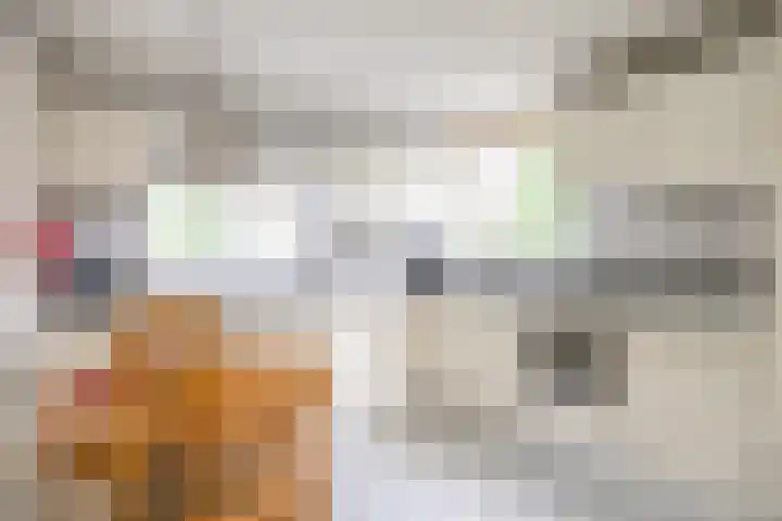 Nicolaas Grijpstraat 4 Grijpskerk thumbnail 15