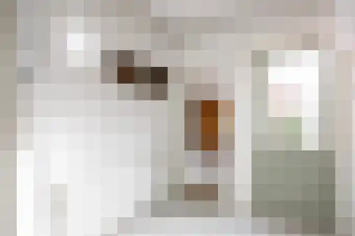 Nicolaas Grijpstraat 4 Grijpskerk thumbnail 16
