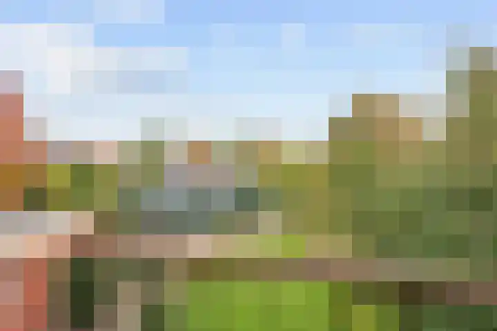 Nicolaas Grijpstraat 4 Grijpskerk thumbnail 21