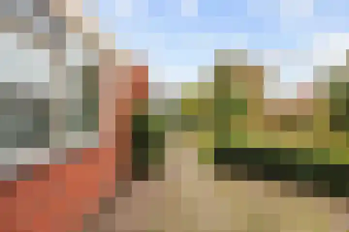 Nicolaas Grijpstraat 4 Grijpskerk thumbnail 28