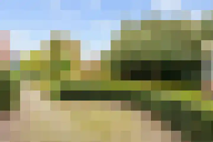 Nicolaas Grijpstraat 4 Grijpskerk thumbnail 29