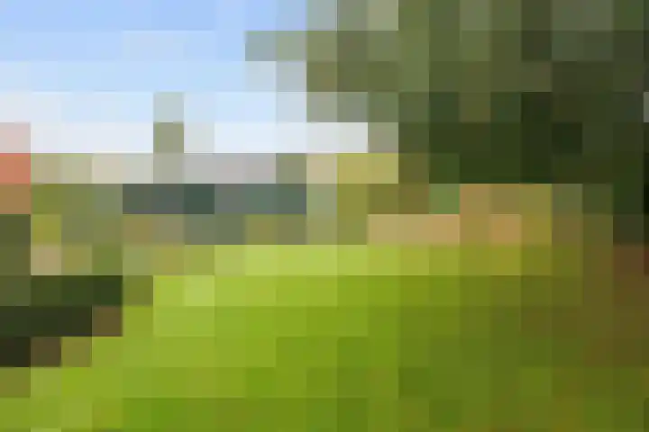 Nicolaas Grijpstraat 4 Grijpskerk thumbnail 30