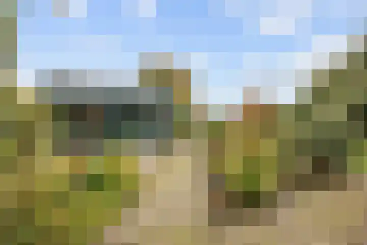 Nicolaas Grijpstraat 4 Grijpskerk thumbnail 32
