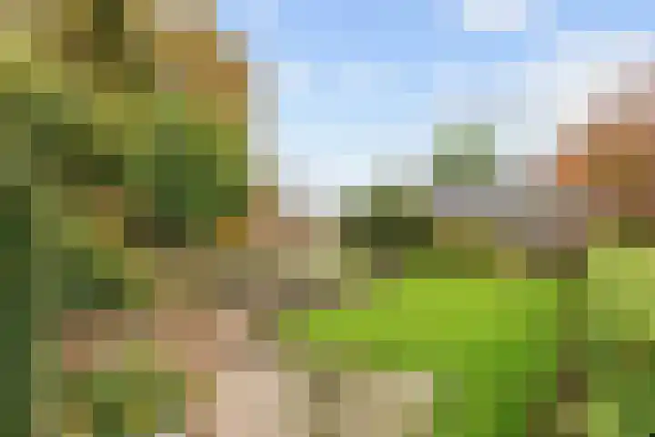 Nicolaas Grijpstraat 4 Grijpskerk thumbnail 33