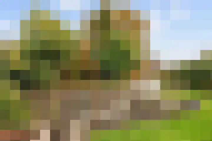 Nicolaas Grijpstraat 4 Grijpskerk thumbnail 34
