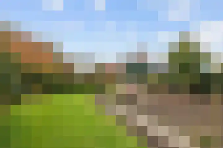 Nicolaas Grijpstraat 4 Grijpskerk thumbnail 35