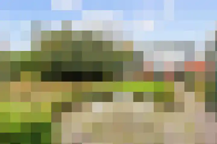Nicolaas Grijpstraat 4 Grijpskerk thumbnail 36