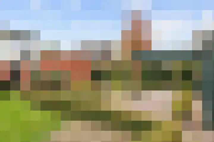 Nicolaas Grijpstraat 4 Grijpskerk thumbnail 38