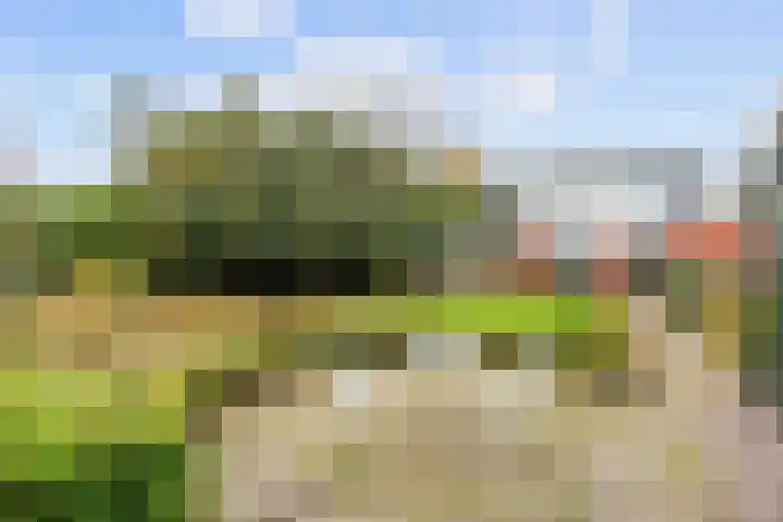 Nicolaas Grijpstraat 4 Grijpskerk thumbnail 4