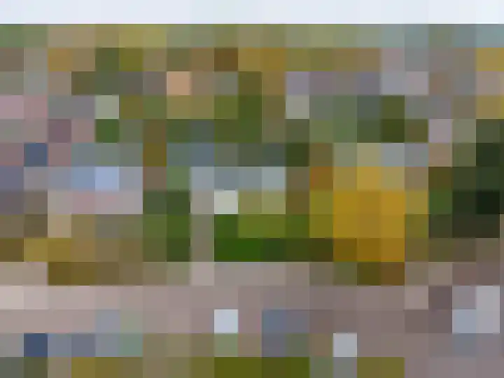 Nicolaas Grijpstraat 4 Grijpskerk thumbnail 45