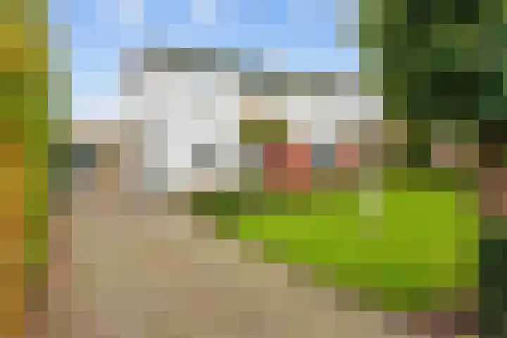 Nicolaas Grijpstraat 4 Grijpskerk thumbnail 6