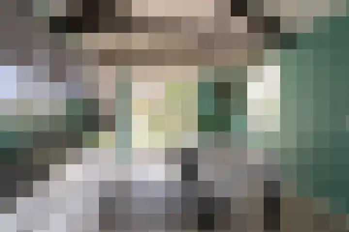 Nicolaas Hooijkaasstraat 11 Zuilichem thumbnail 11