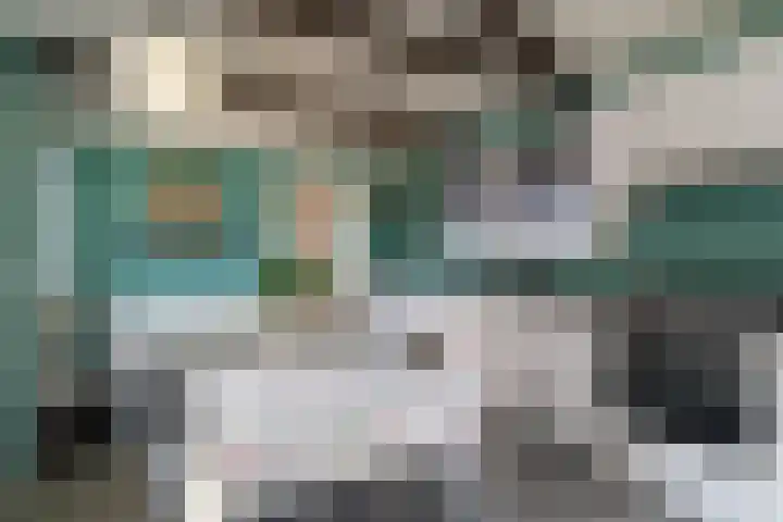 Nicolaas Hooijkaasstraat 11 Zuilichem thumbnail 12
