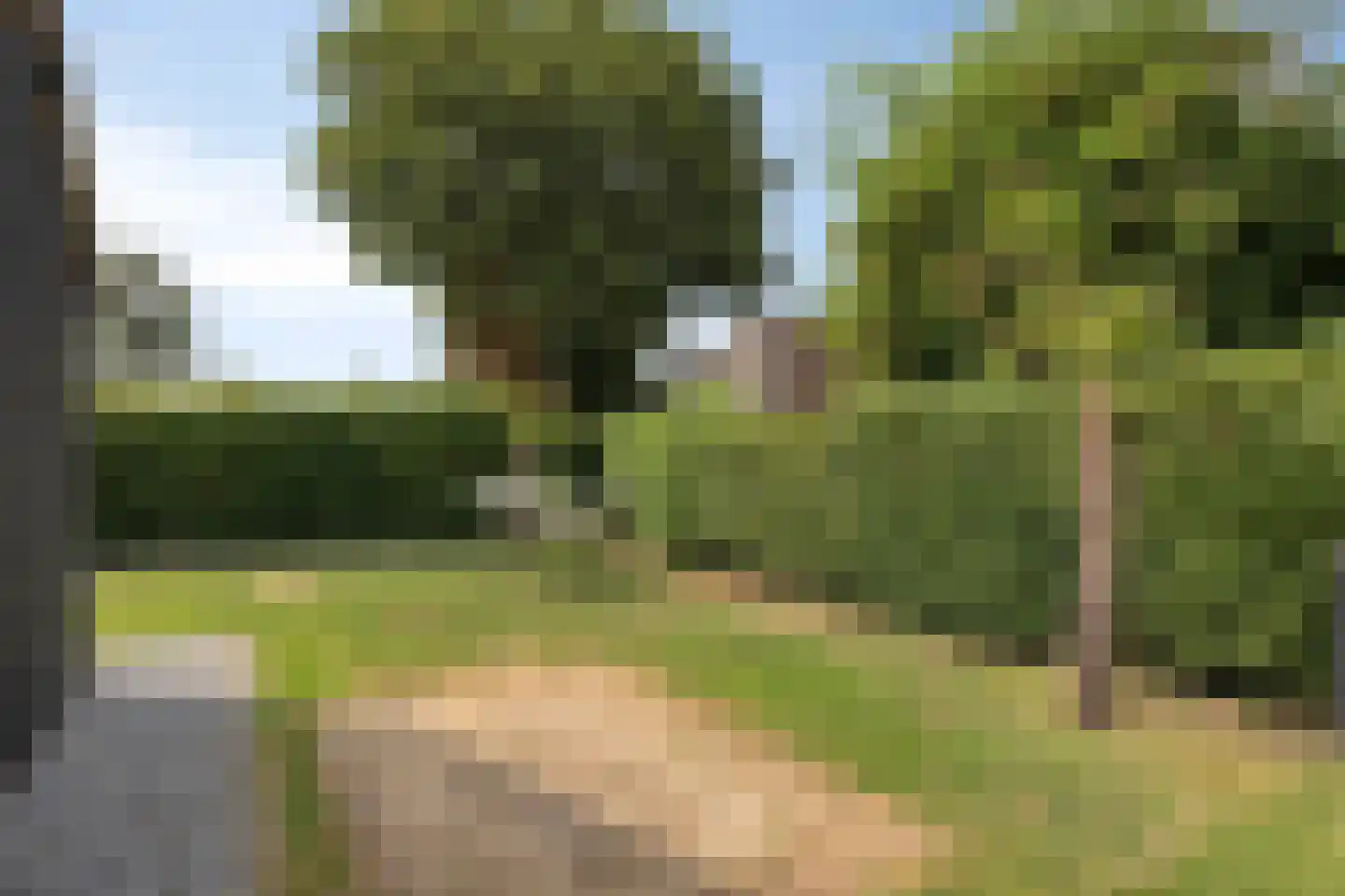 Nicolaas Hooijkaasstraat 11 Zuilichem thumbnail 16
