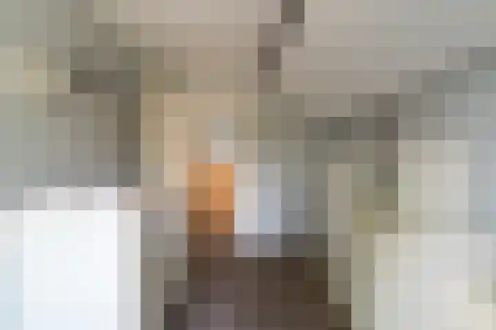 Nicolaas Hooijkaasstraat 11 Zuilichem thumbnail 21
