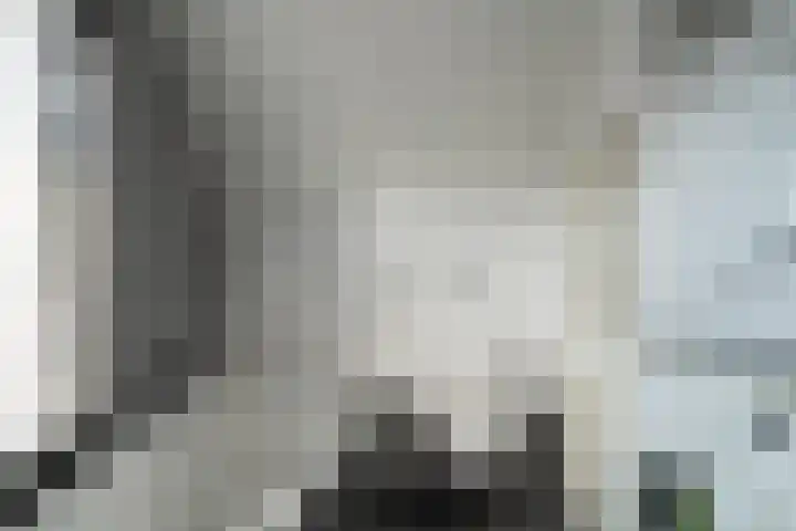 Nicolaas Hooijkaasstraat 11 Zuilichem thumbnail 23