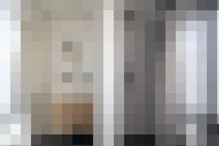 Nicolaas Hooijkaasstraat 11 Zuilichem thumbnail 24