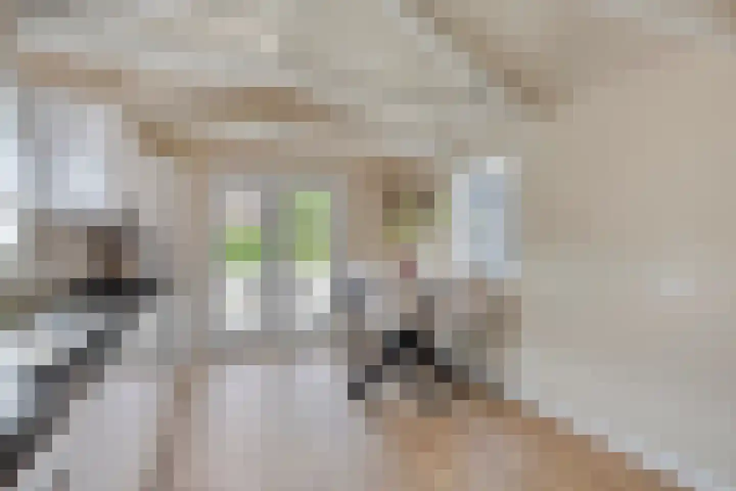 Nicolaas Hooijkaasstraat 11 Zuilichem thumbnail 24