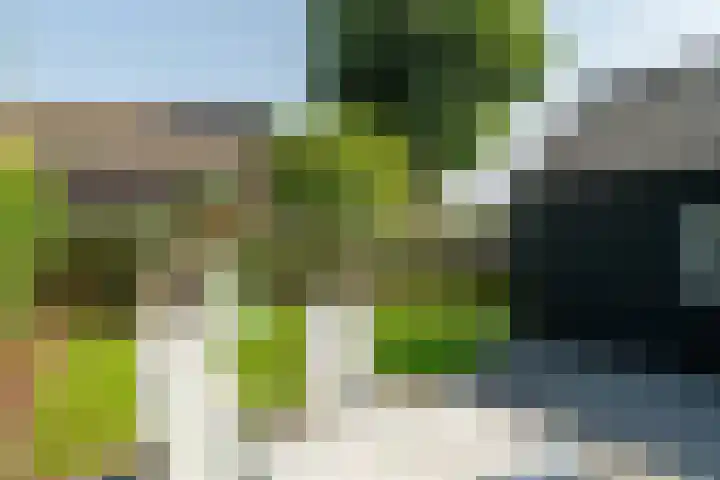 Nicolaas Hooijkaasstraat 11 Zuilichem thumbnail 26