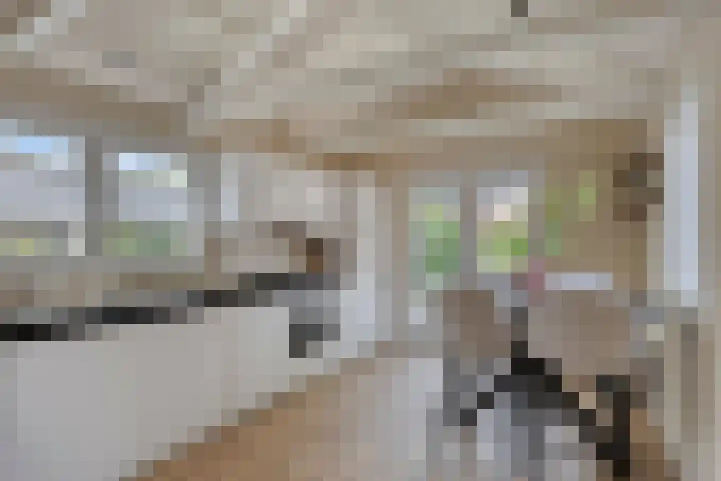 Nicolaas Hooijkaasstraat 11 Zuilichem thumbnail 26
