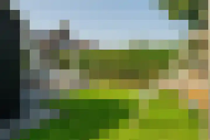 Nicolaas Hooijkaasstraat 11 Zuilichem thumbnail 27