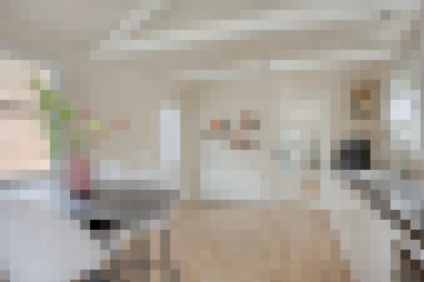Nicolaas Hooijkaasstraat 11 Zuilichem thumbnail 27