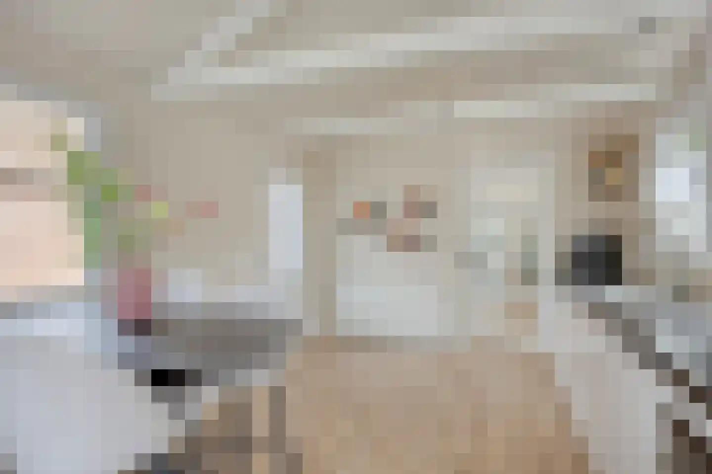 Nicolaas Hooijkaasstraat 11 Zuilichem thumbnail 27