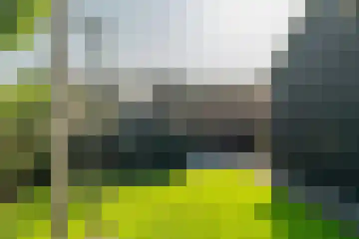 Nicolaas Hooijkaasstraat 11 Zuilichem thumbnail 28