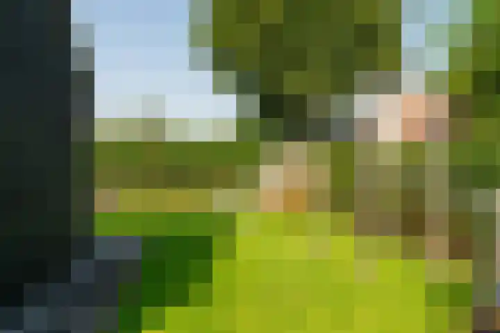 Nicolaas Hooijkaasstraat 11 Zuilichem thumbnail 29