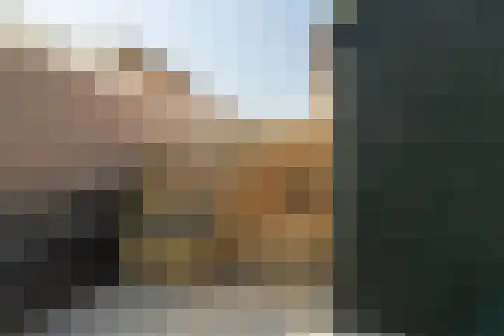 Nicolaas Hooijkaasstraat 11 Zuilichem thumbnail 30