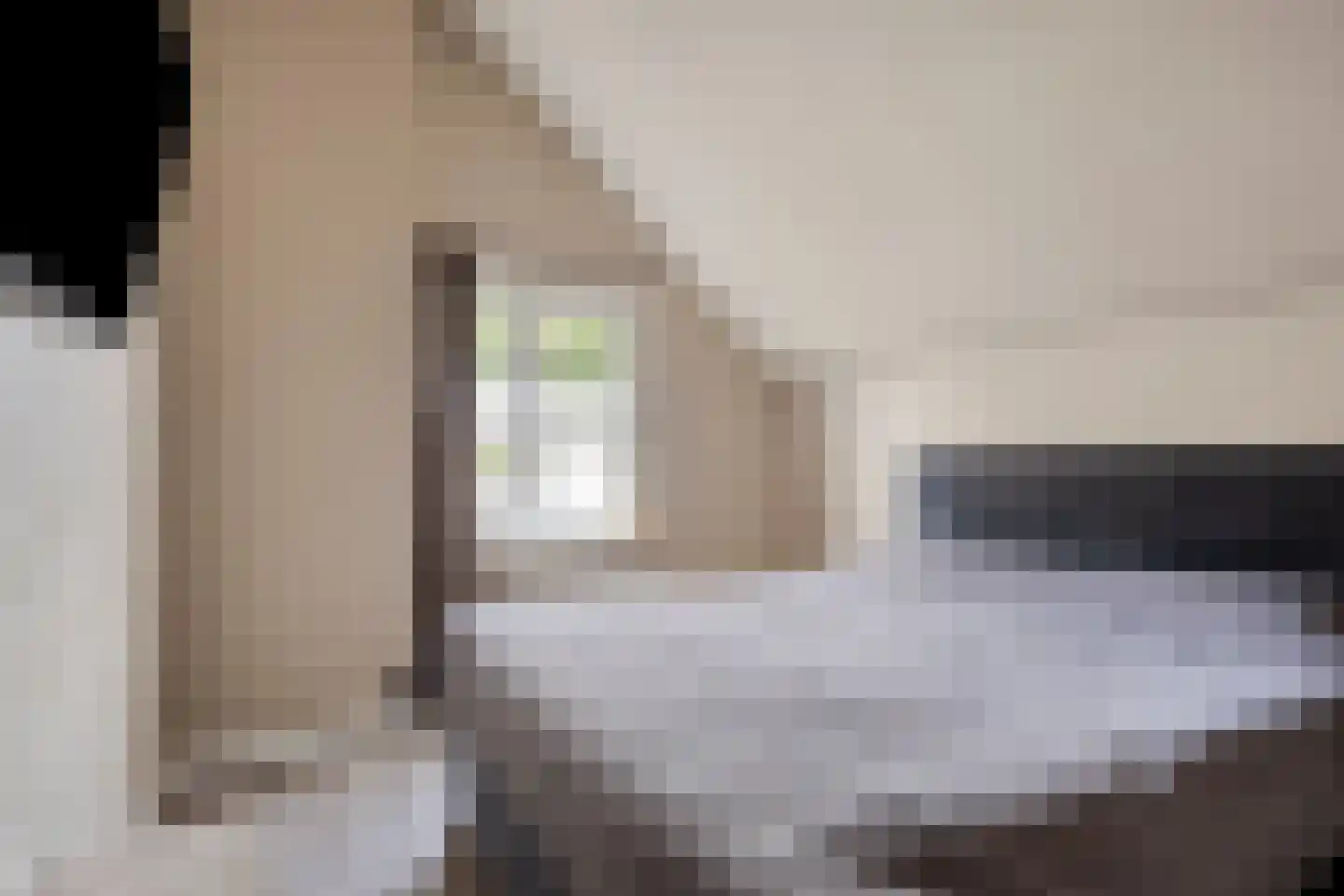 Nicolaas Hooijkaasstraat 11 Zuilichem thumbnail 31