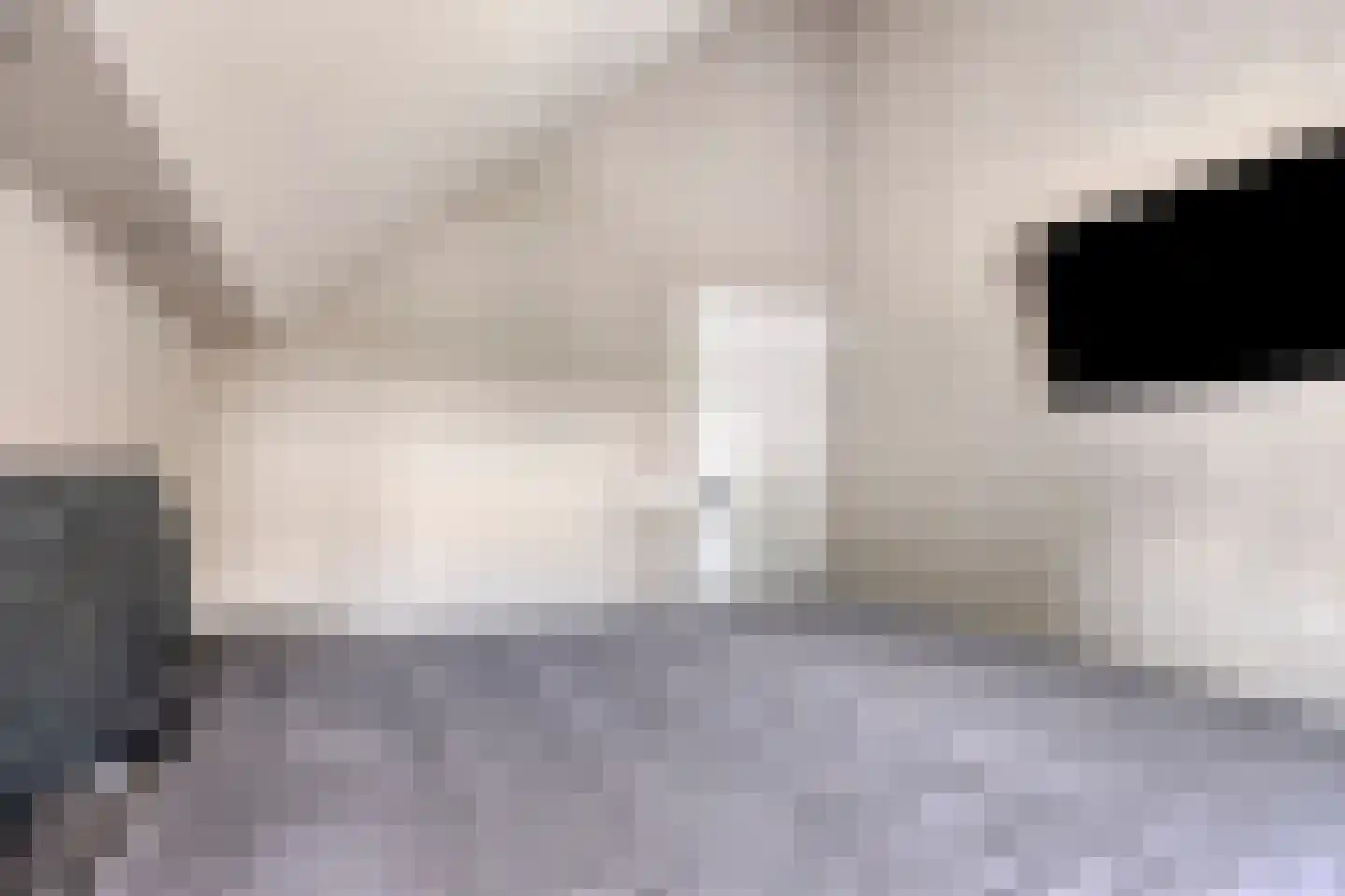 Nicolaas Hooijkaasstraat 11 Zuilichem thumbnail 32