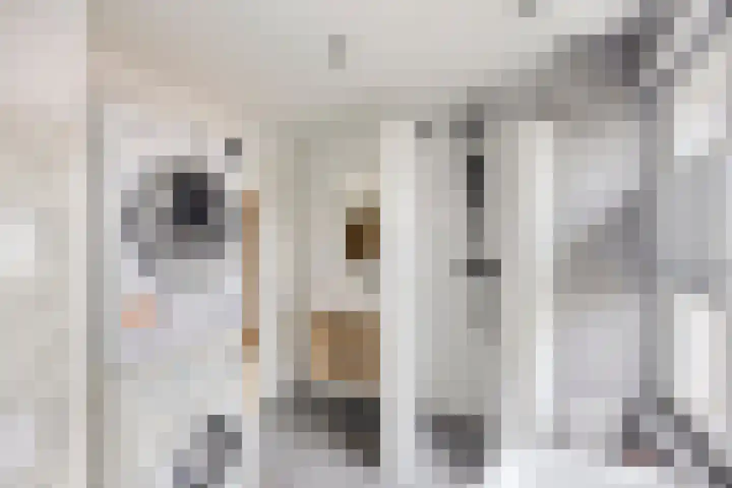 Nicolaas Hooijkaasstraat 11 Zuilichem thumbnail 35