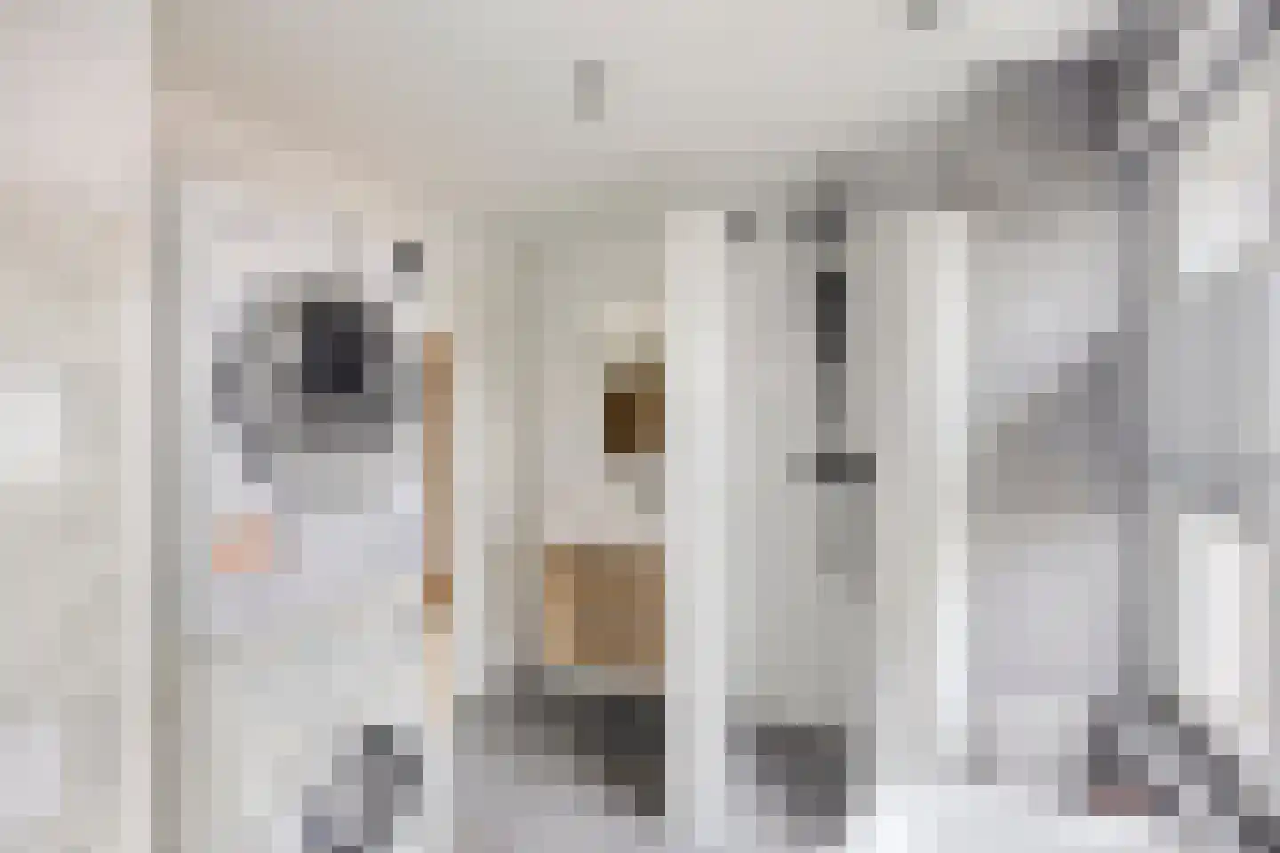 Nicolaas Hooijkaasstraat 11 Zuilichem thumbnail 35