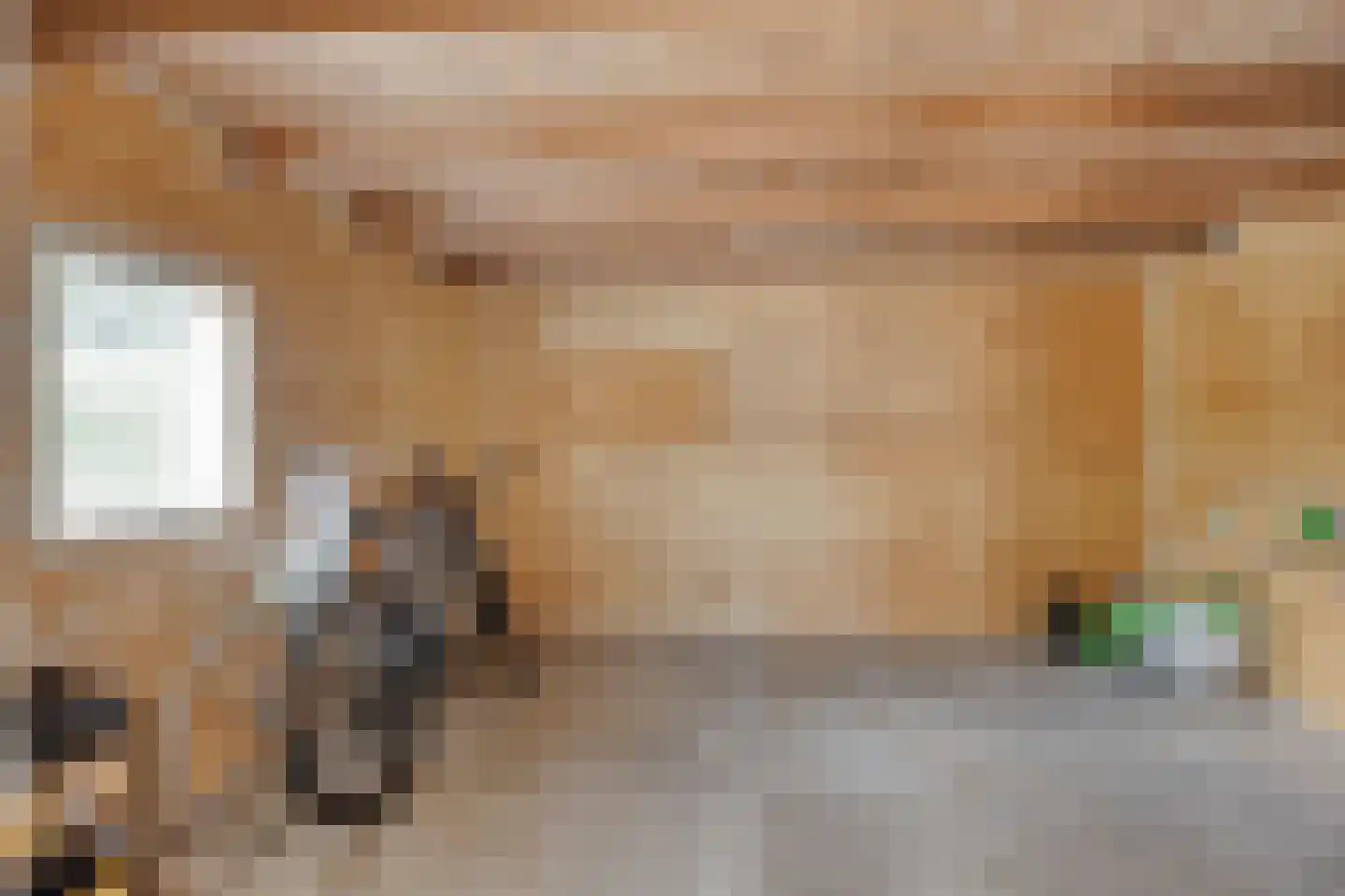 Nicolaas Hooijkaasstraat 11 Zuilichem thumbnail 44