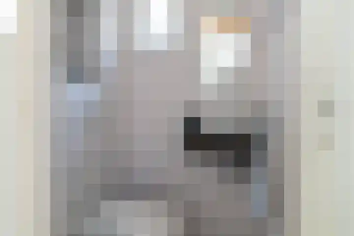 Nicolaas Hooijkaasstraat 11 Zuilichem thumbnail 5