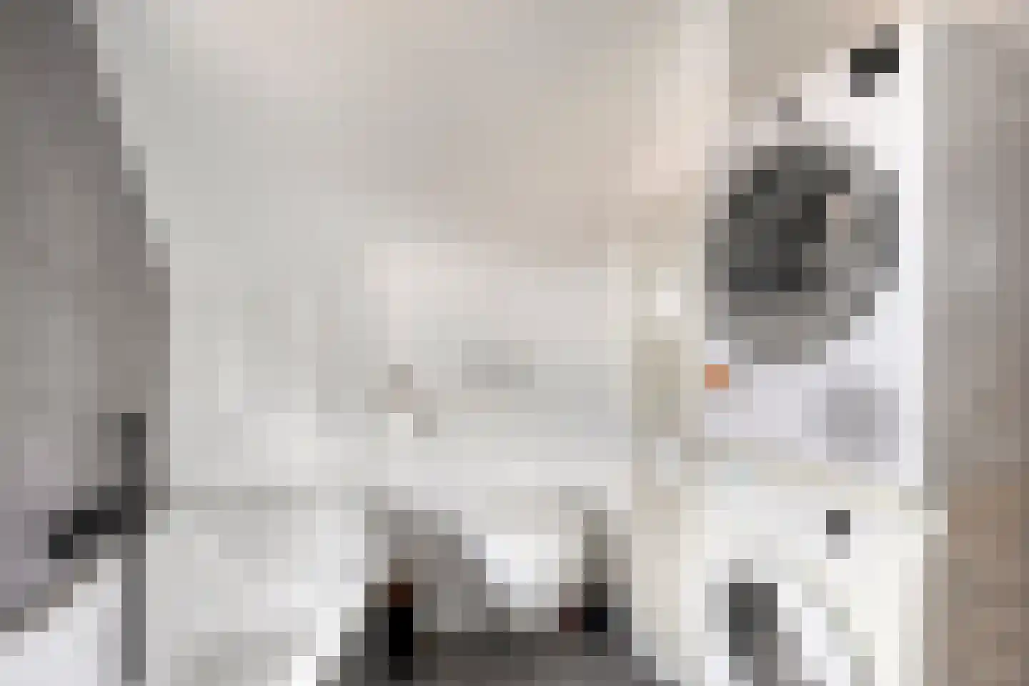 Nicolaas Hooijkaasstraat 11 Zuilichem thumbnail 6