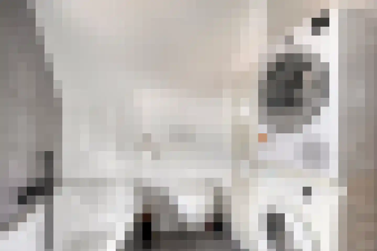Nicolaas Hooijkaasstraat 11 Zuilichem thumbnail 6