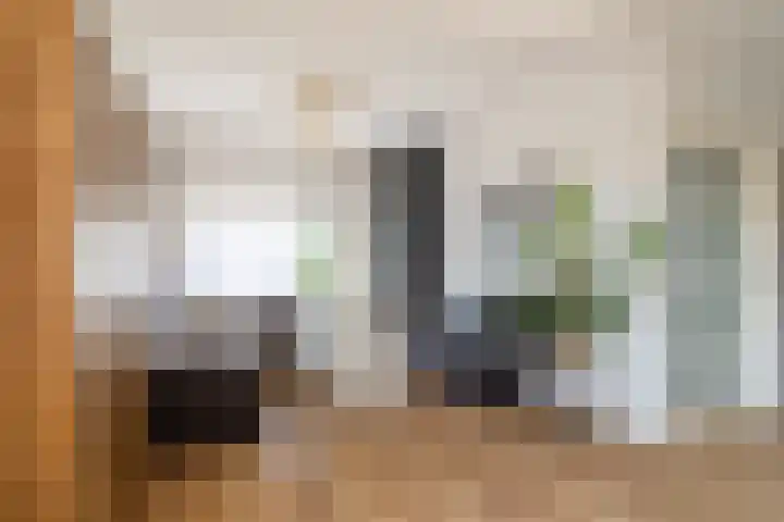 Nicolaas Hooijkaasstraat 11 Zuilichem thumbnail 7