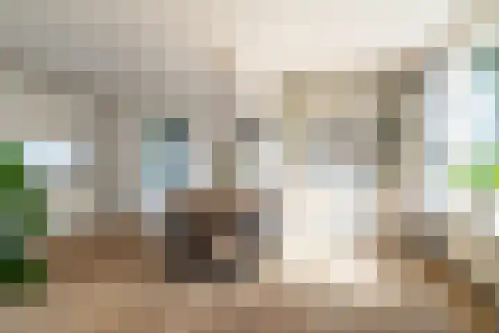 Nicolaas Hooijkaasstraat 11 Zuilichem thumbnail 8
