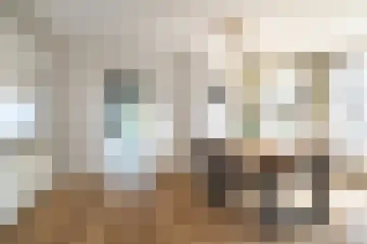 Nicolaas Hooijkaasstraat 11 Zuilichem thumbnail 9