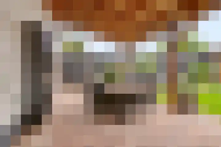 Nicolaas Hooijkaasstraat 2 Zuilichem thumbnail 11
