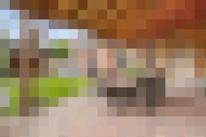 Nicolaas Hooijkaasstraat 2 Zuilichem thumbnail 12