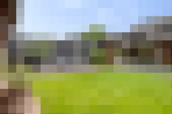 Nicolaas Hooijkaasstraat 2 Zuilichem thumbnail 13