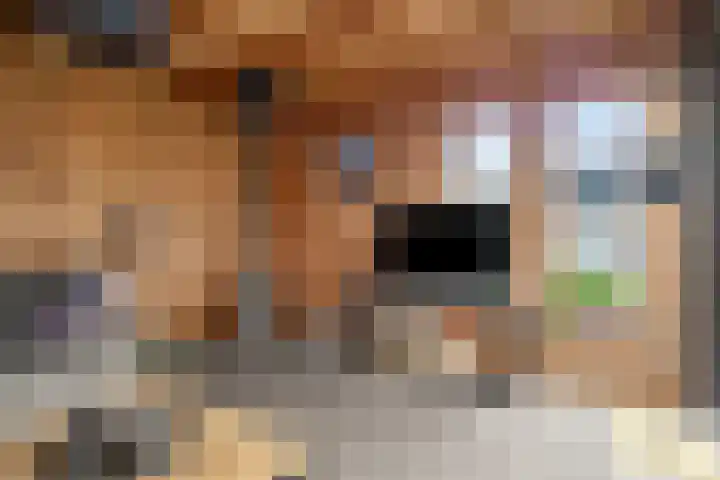 Nicolaas Hooijkaasstraat 2 Zuilichem thumbnail 16