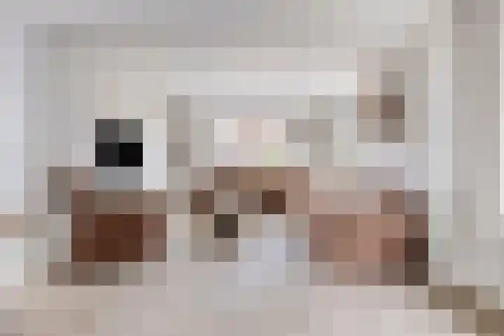 Nicolaas Hooijkaasstraat 2 Zuilichem thumbnail 25
