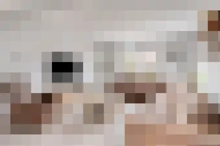 Nicolaas Hooijkaasstraat 2 Zuilichem thumbnail 26
